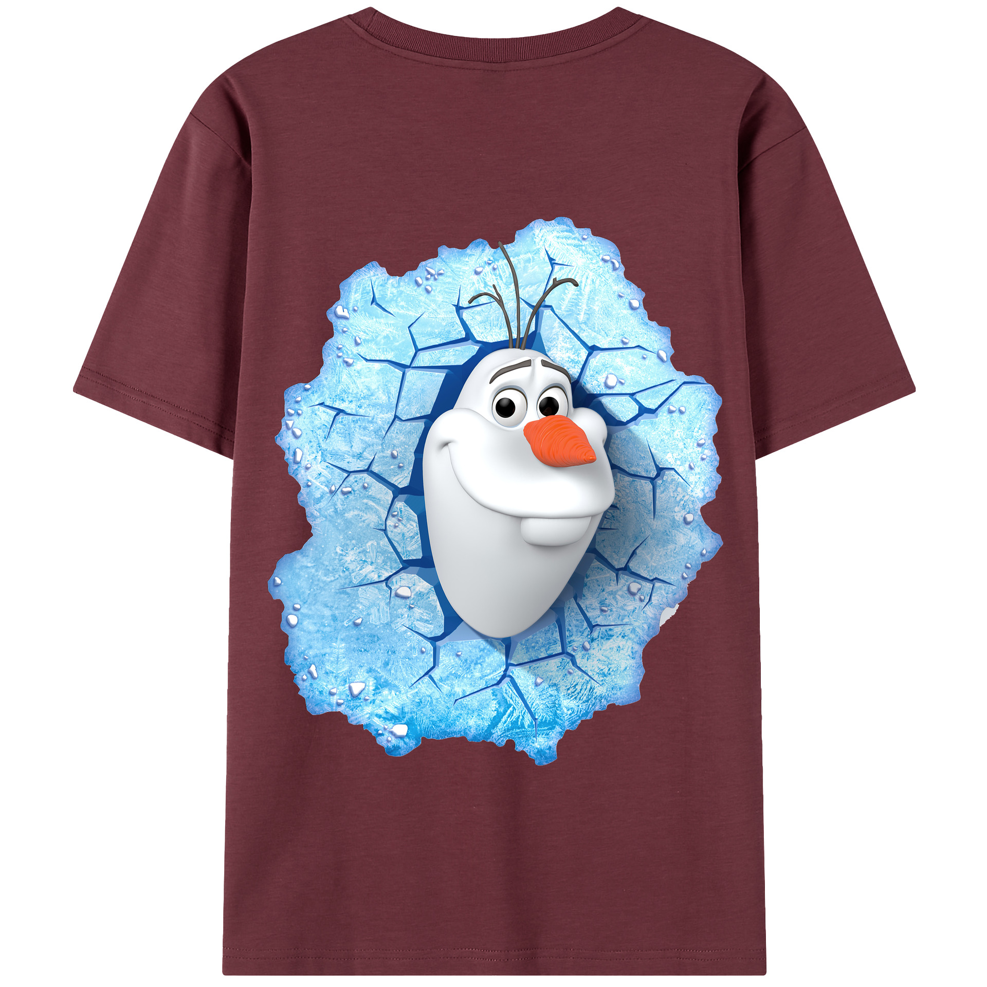 （画像用） アナと雪の女王 アンナ エルサ Frozen Anna Elsa 綿100％半袖Tシャツ（背面プリント）